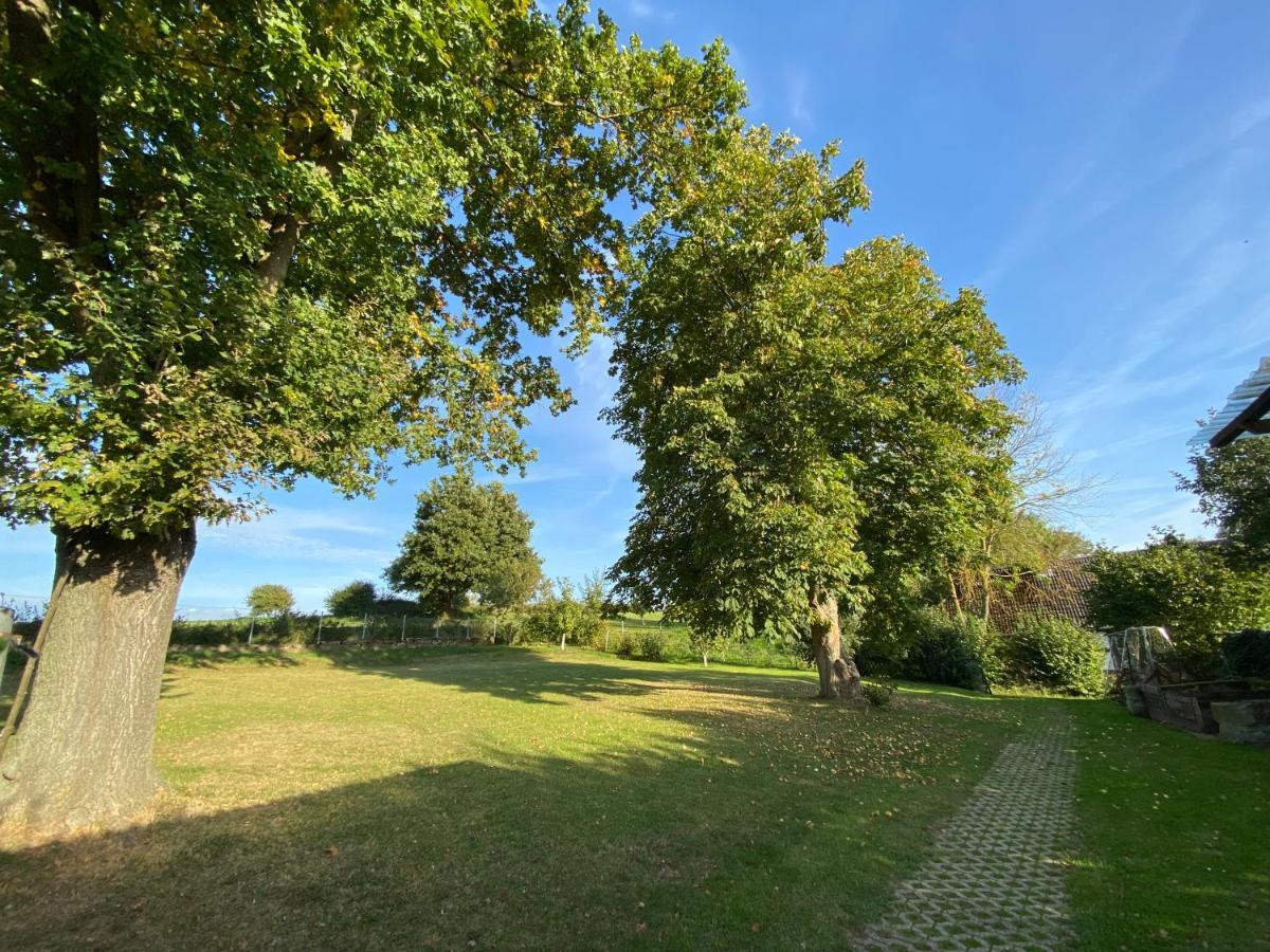 Ferienwohnung Riese Nordhessen Felsberg Dış mekan fotoğraf