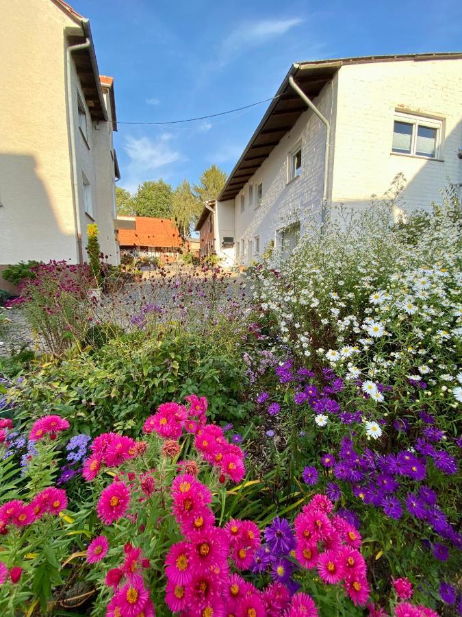 Ferienwohnung Riese Nordhessen Felsberg Dış mekan fotoğraf